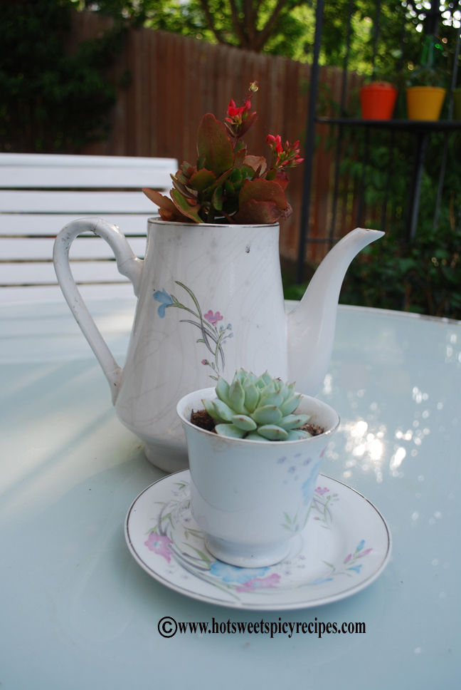 teapot and teacup plants and logo_0