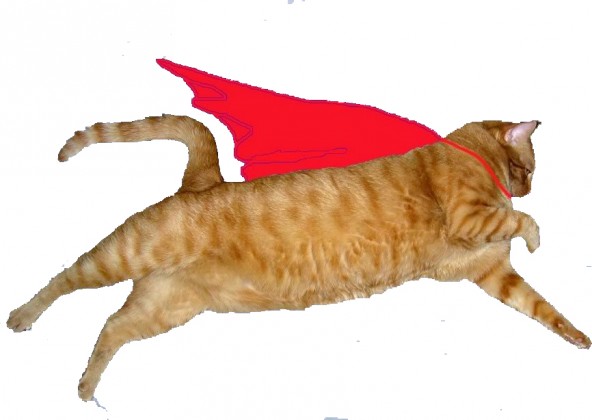 super cat in cape