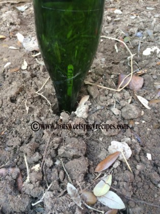 vege garden bottle marker 2