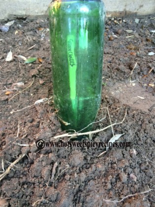 vege garden bottle marker