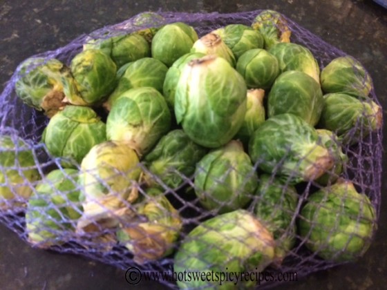 brussel sprouts