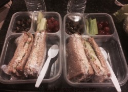 lunch box with tuna sandwich