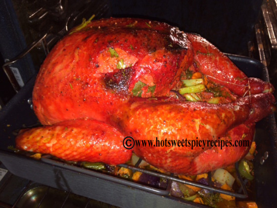 turkey in oven2