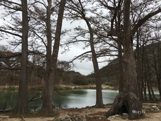 garner frio river